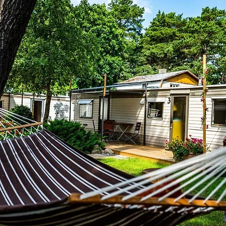 Nameliu Nuoma Giruliuose Campsite Klaipeda