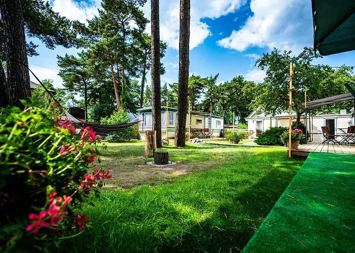 Nameliu Nuoma Giruliuose *